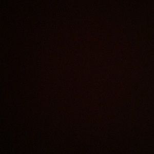 Meet your Posher, Bobby